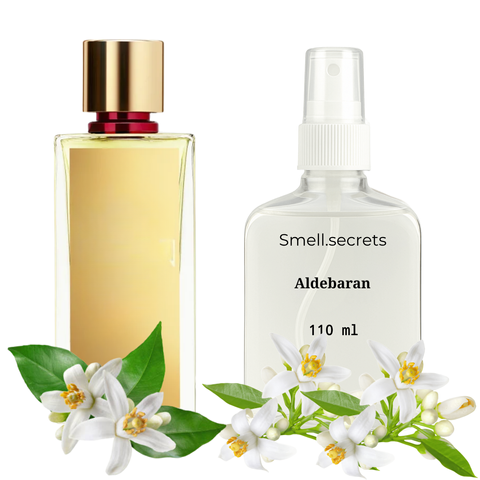 S&S Parfum Aldebaran P-MAB-ALD-110 фото