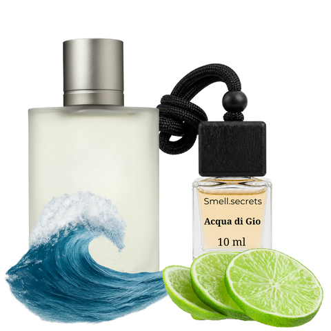 Автопарфум S&S Acqua di Gio CAR-SS10-ARM-ADG фото