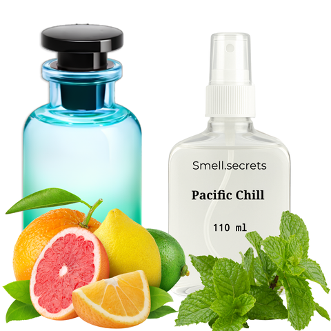 S&S Parfum Pacific Chill PL-PC-110 фото