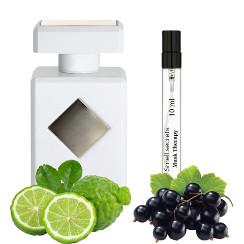 S&S Parfum Musk Therapy S-INI-MTP-100 фото