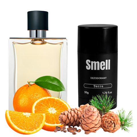 Дезодорант S&S Terre 50g TE-50 фото
