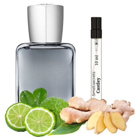 S&S Parfum Castley S-PDM-CAS-100 фото