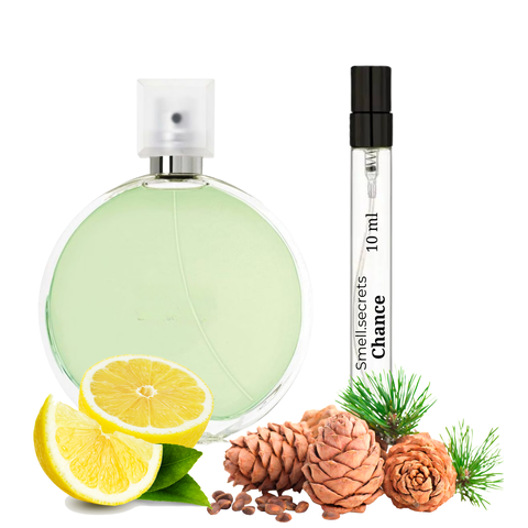 S&S Parfum Chance S-CHA-CNC-100 фото