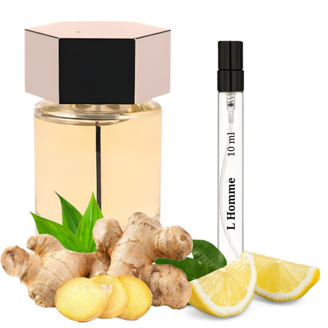 S&S Parfum L'Homme 10 мл S-YSL-LHO-100 фото