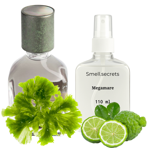 S&S Parfum Megamare OP4 фото