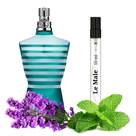 S&S Parfum Le male LM-100 фото