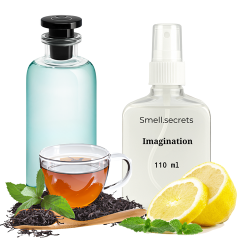 S&S Parfum Imagination 110ml IM-110 фото