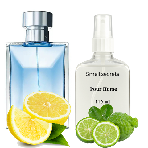 S&S Parfum Pour Homme P-VER-PHO-110 фото