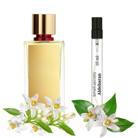 S&S Parfum Aldebaran S-MAB-ALD-100 фото