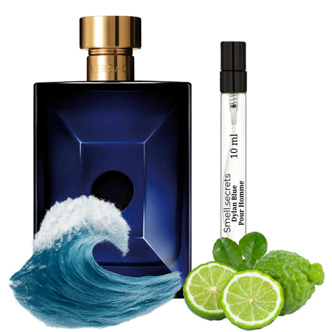 S&S Parfum Dylan Blue pour Homme&nbsp; S-VER-DBH-100 фото
