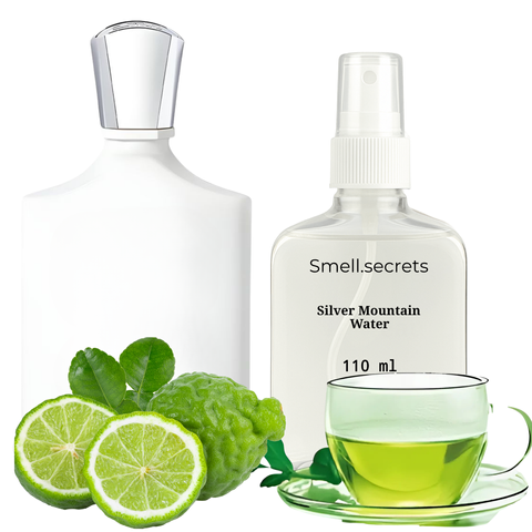 S&S Parfum Silver Mountain Water CR11 фото