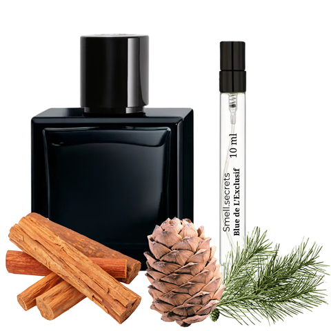 S&S Parfum Blue De L&rsquo;exclisif S-CHA-BLE-100 фото