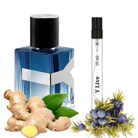 S&S Parfum Y Live 10 мл S-YSL-YLL-100 фото