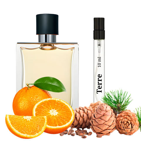 S&S Parfum Terre D TD-100 фото