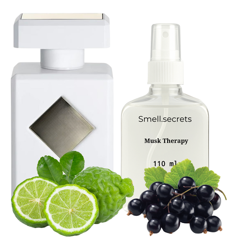 S&S Parfum Musk Therapy IN16 фото