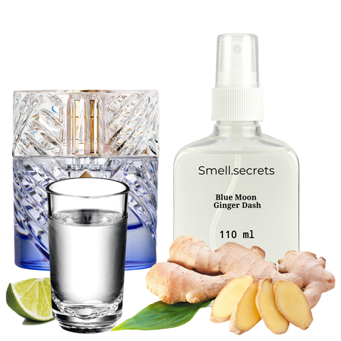 S&S Parfum Blue Moon Ginger Dash PL110-011 фото