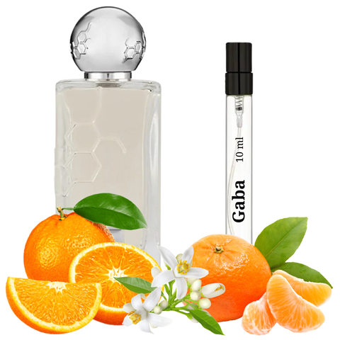 S&S Parfum Gaba GA-10 фото