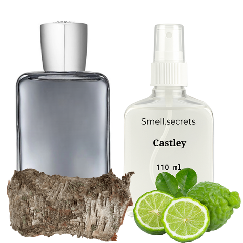 S&S Parfum Castley PL110-013 фото