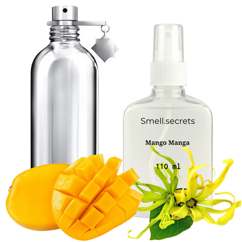 S&S Parfum Mango Manga MO27 фото