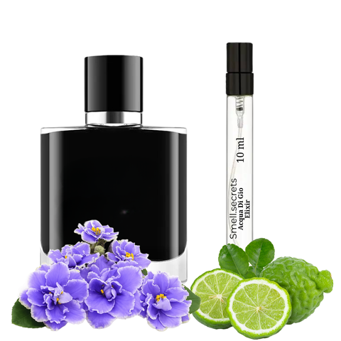 S&S Parfum Aqua Di Gio Elixir S-ARM-AGX-100 фото